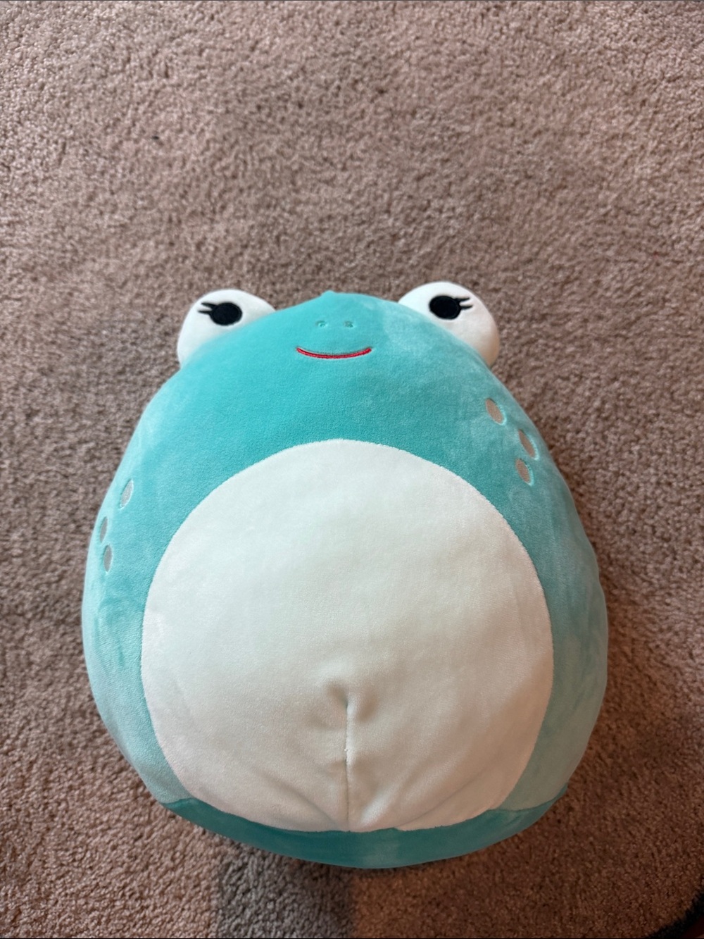 Novi the frog Squishmallow!! Great condition, needs a new loving home 🤍